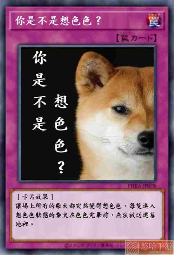 柴犬色色卡表情包大全