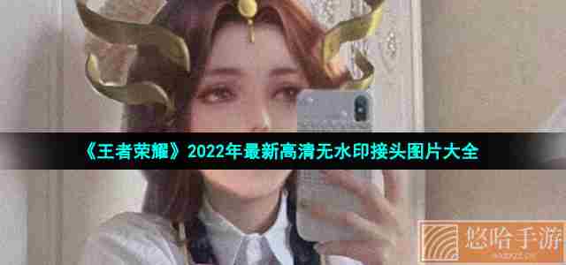 《王者荣耀》2022年最新高清无水印接头图片大全