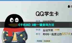 《手机QQ》Q龄一键查询方法