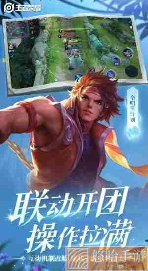 王者荣耀极光辅助