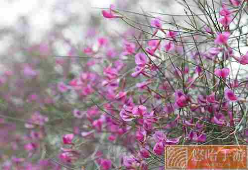《支付宝》蚂蚁庄园2022年3月12日每日一题答案
